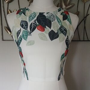 Zara Leaf and Berry Print Crop Top Sz XS